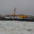 Gestern Mittag auf der Elbe