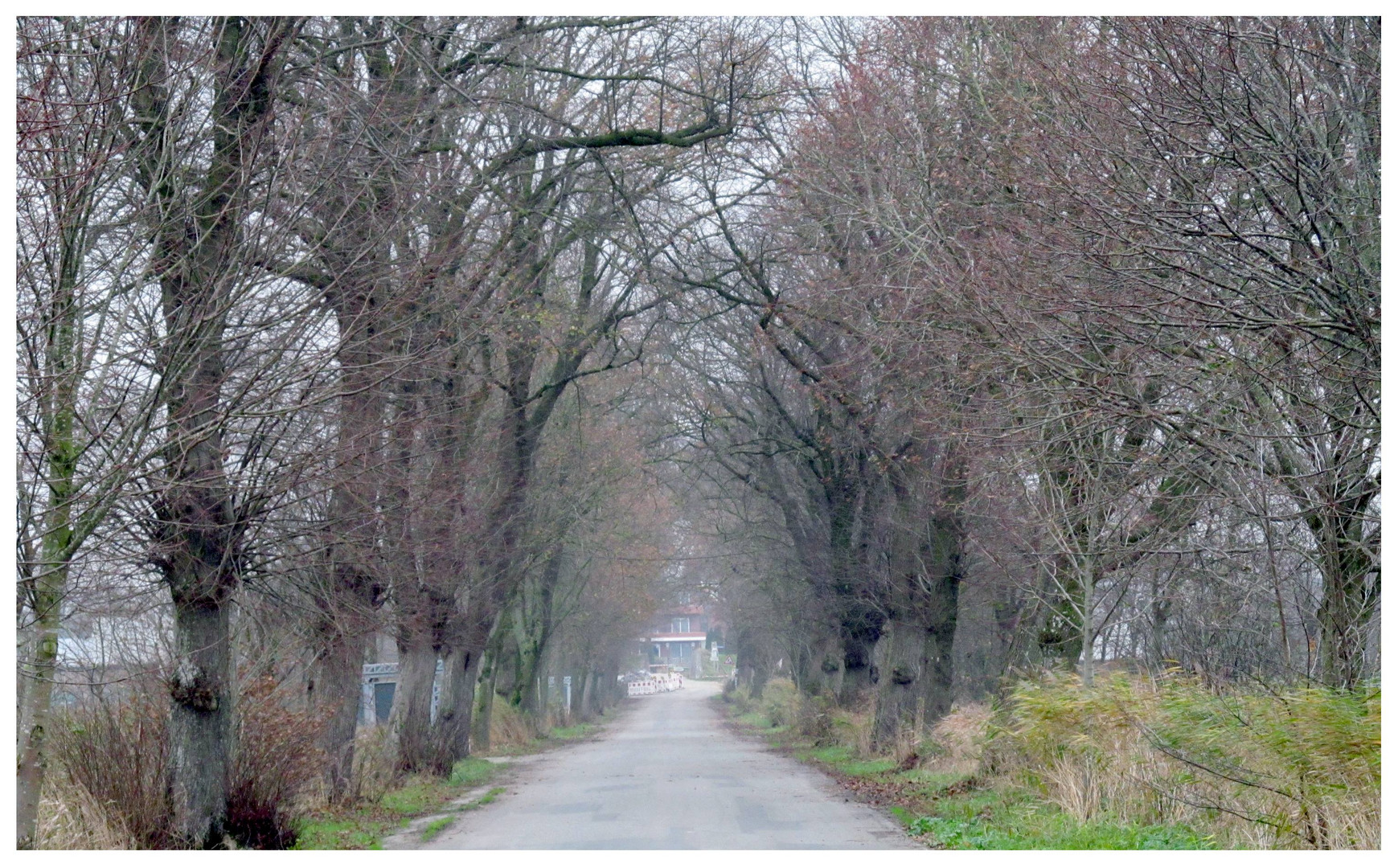 gestern Mittag auf der Faehrstrasse .......... 29.11.2014