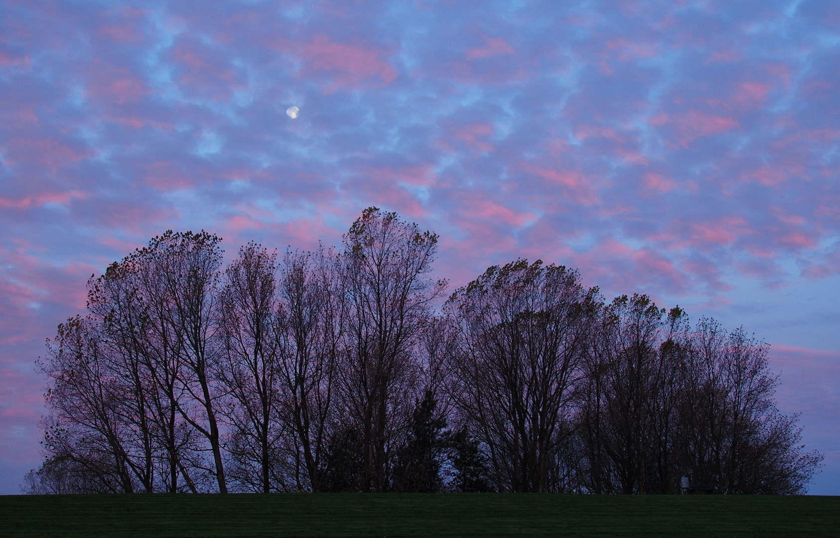 ... gestern morgen am deich - in farbe                 