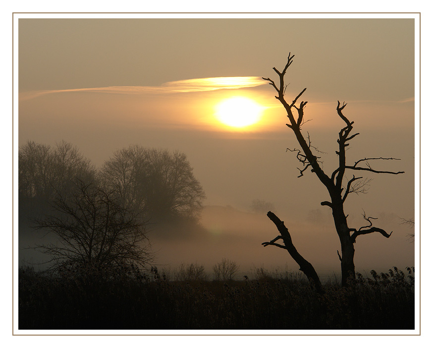 Gestern morgen am Fluss