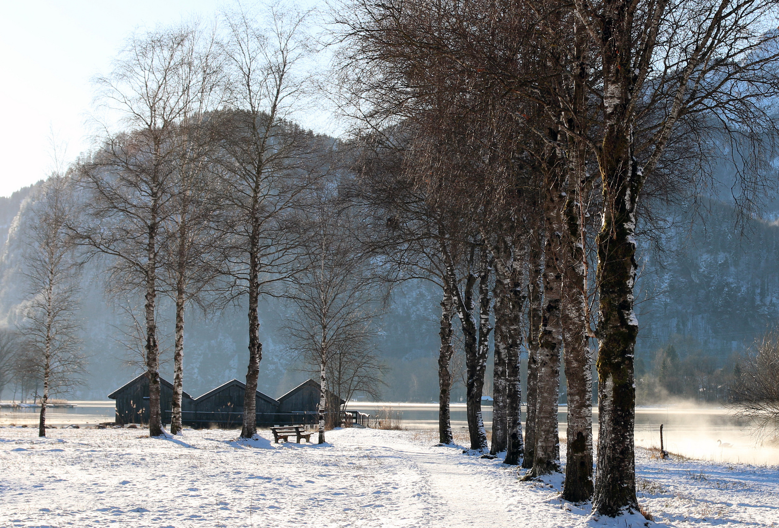 Gestern Morgen am Kochelsee