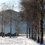 Gestern Morgen am Kochelsee