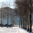 Gestern Morgen am Kochelsee