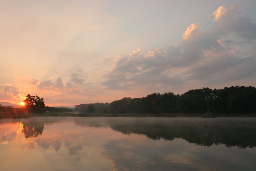 Gestern Morgen am Seehofweiher in Memmelsdorf bei Bamberg