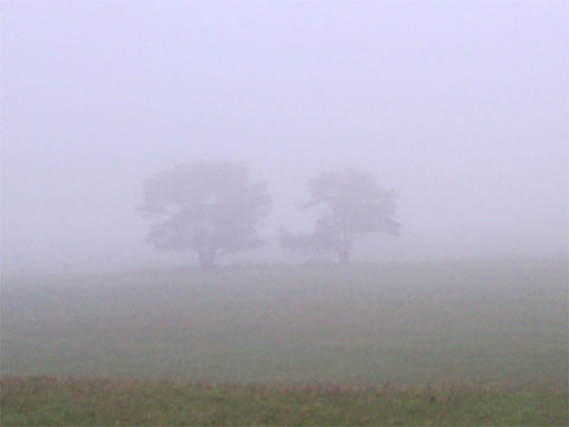 Gestern Morgen an der Ruhr