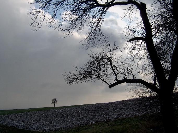 Gestern Morgen auf dem Feld (2)