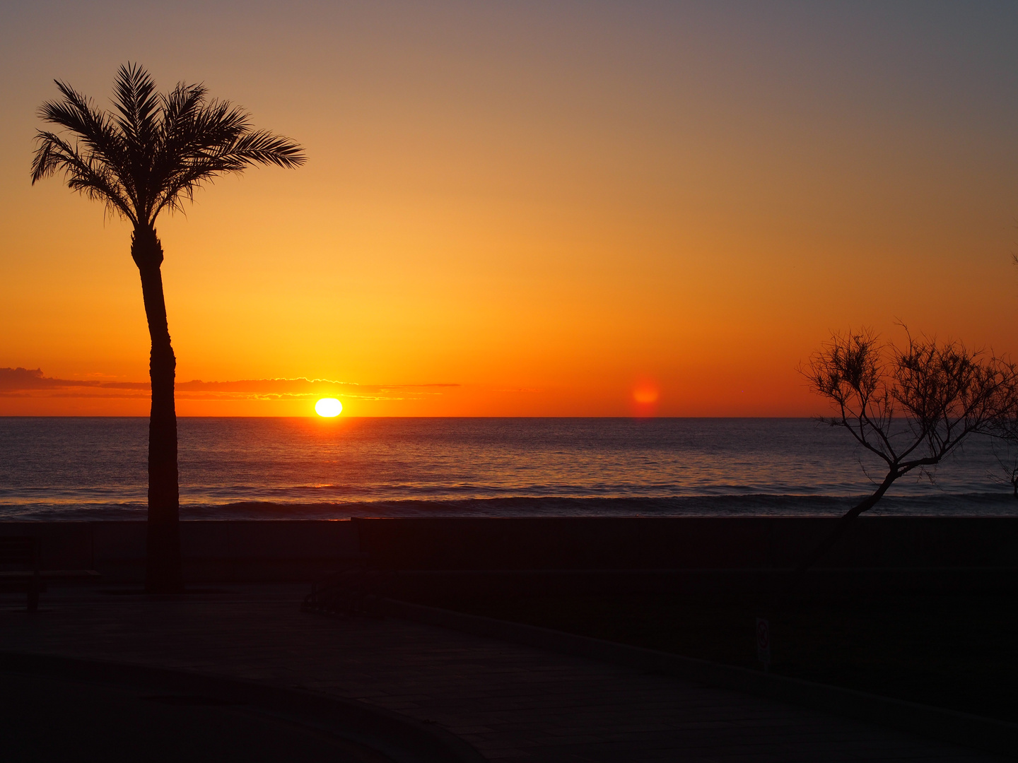 Gestern morgen auf Mallorca