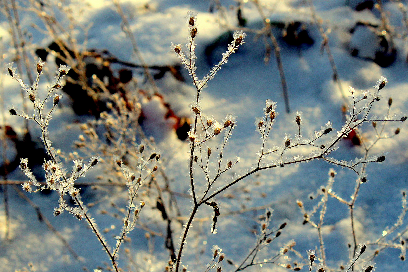 Gestern Morgen bei -14 Grad