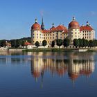 Gestern morgen  bin ich nach 5 oder 6 Jahren wieder mal in Moritzburg gewesen...