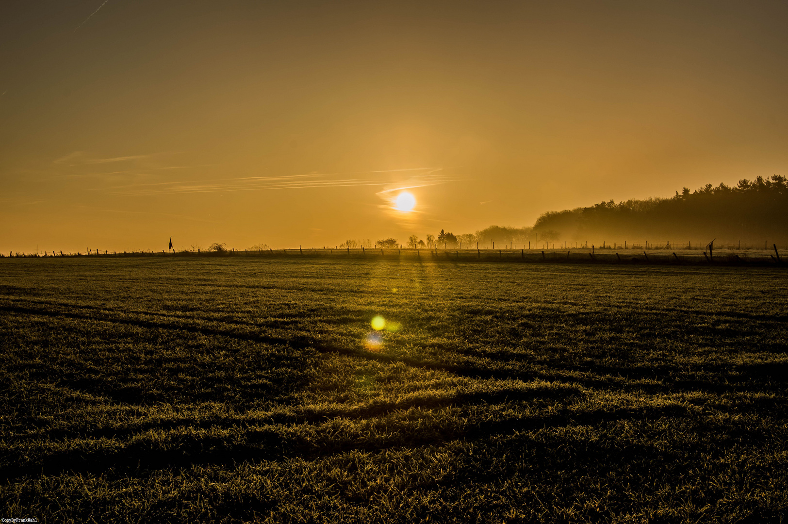 Gestern Morgen eingefangen....