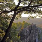 Gestern Morgen kurz nach 6 Uhr auf der Bastei aufgenommen...