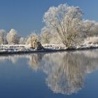 Gestern Morgen Rauhreif an der Ruhr.....