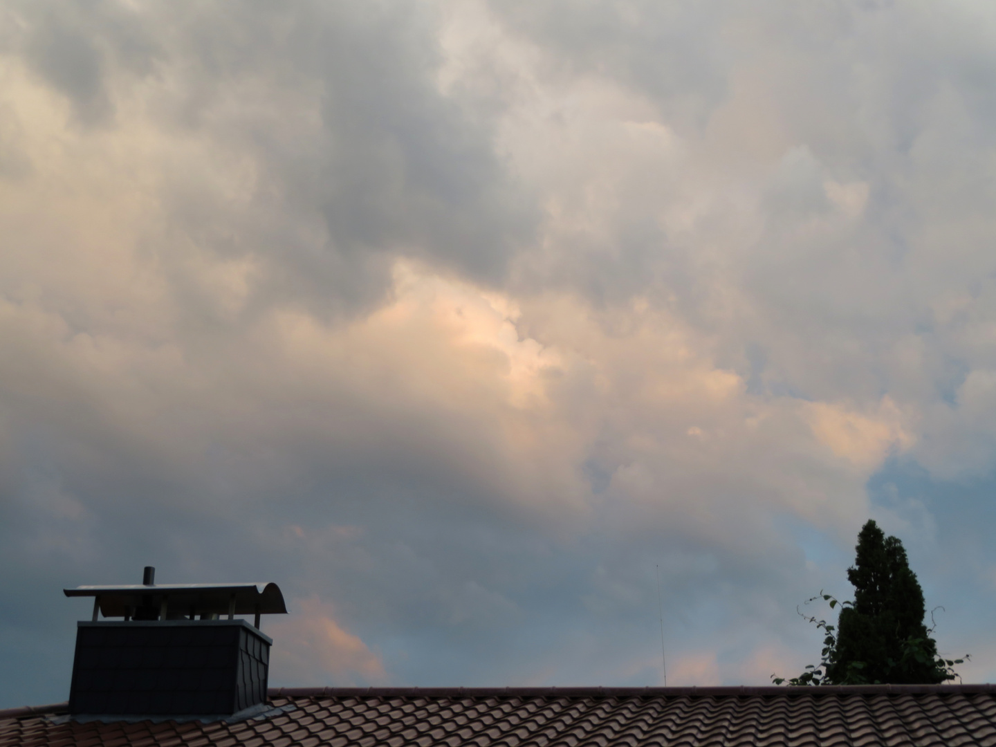 gestern nach dem Gewitter ...