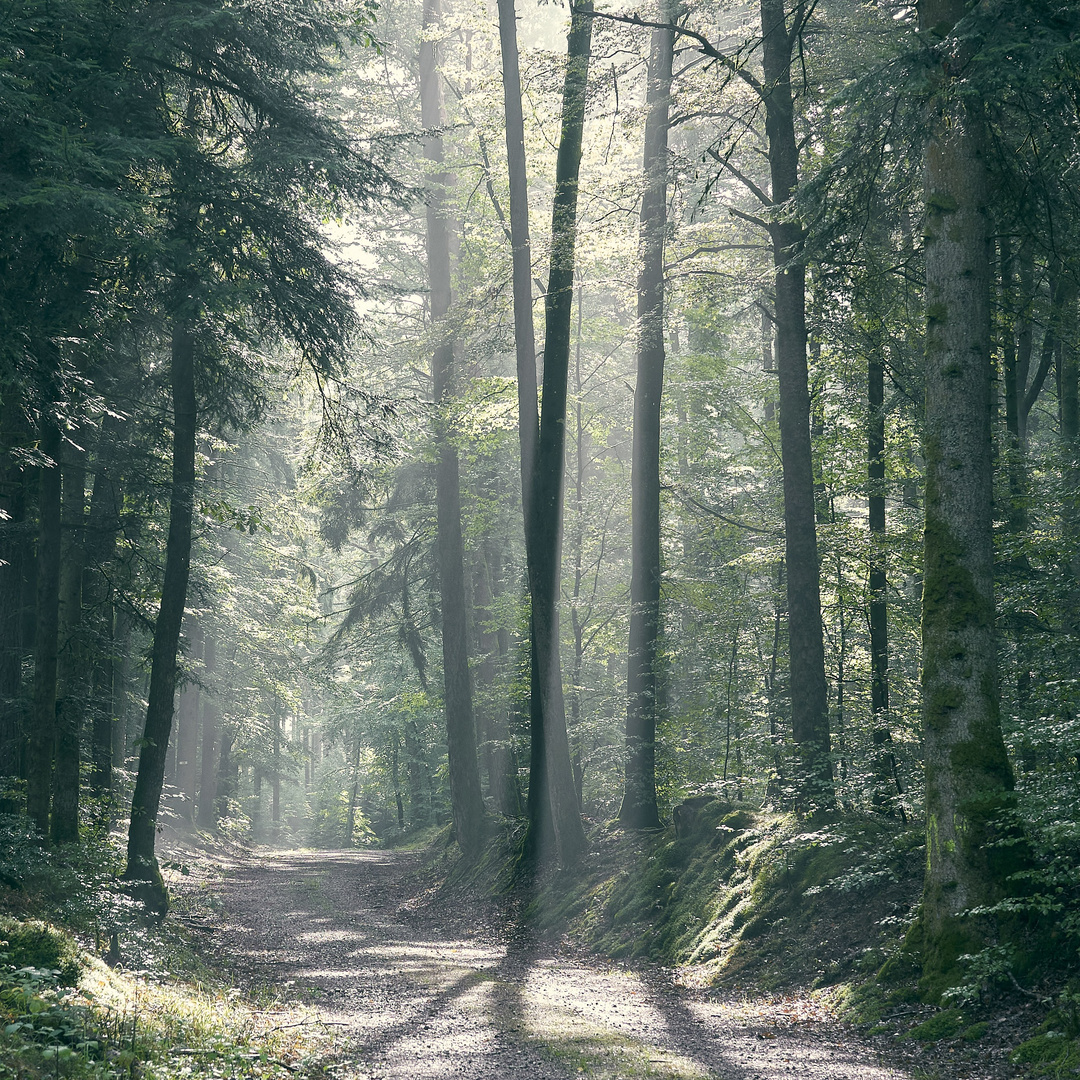 gestern, nach dem Regen