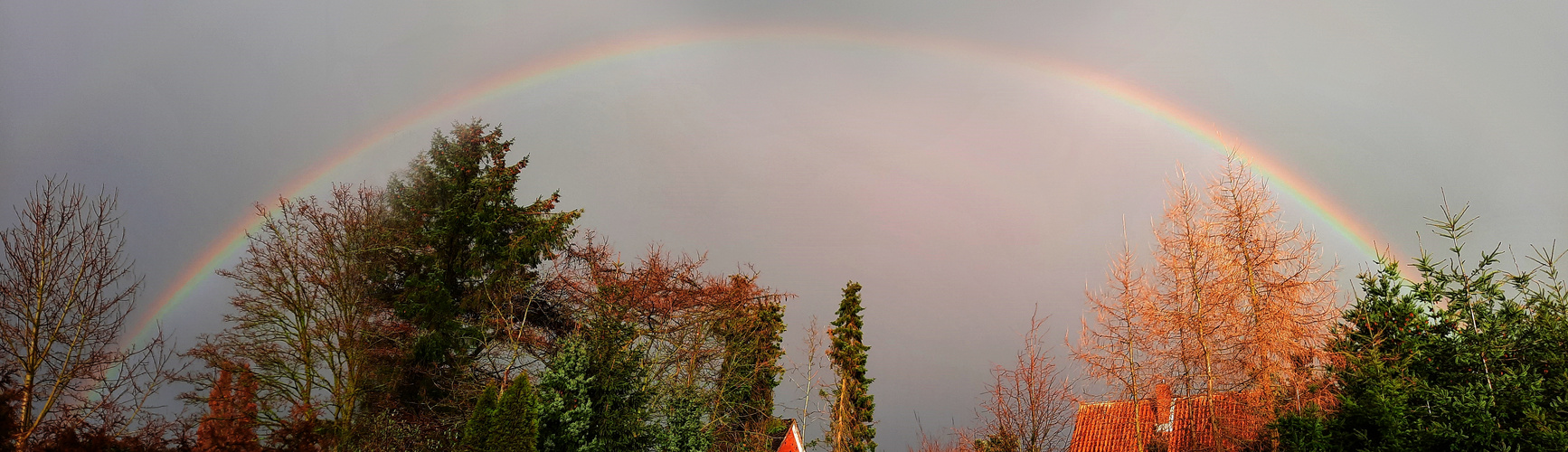  ~ Gestern Nachmittag ~