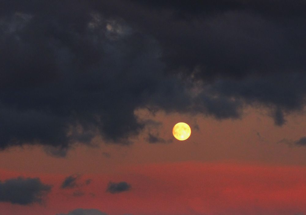 Gestern Nacht war Vollmond I