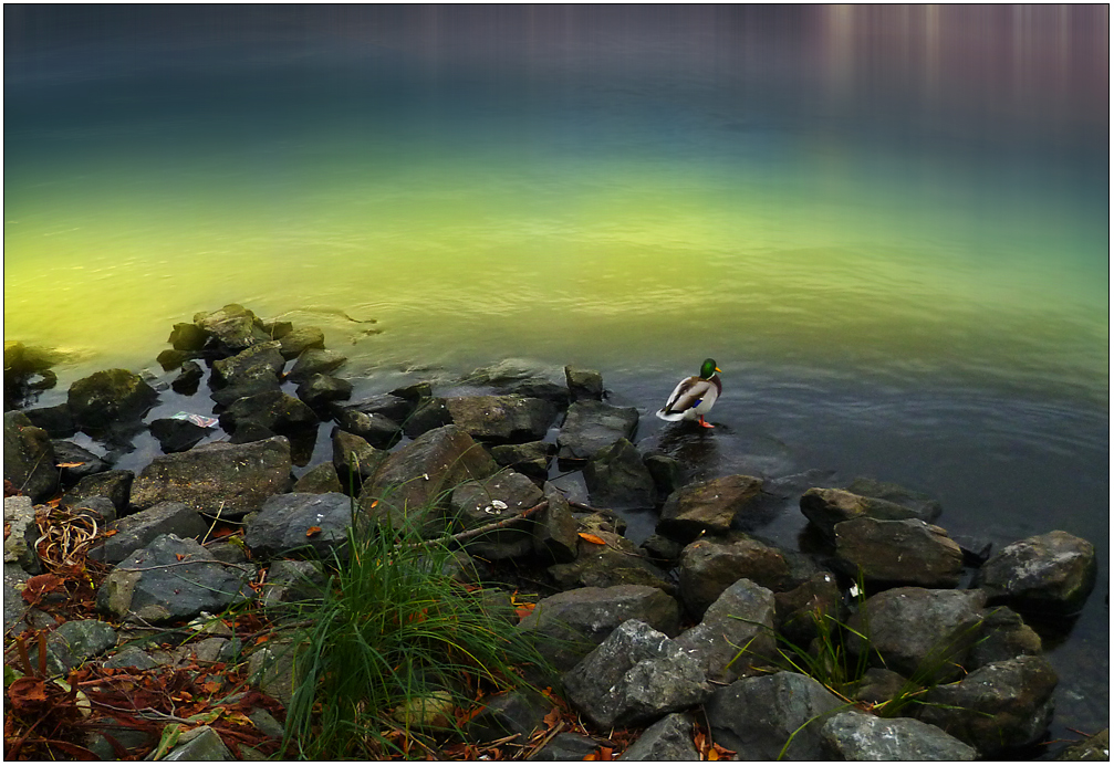 Gestern sah der See doch noch ...