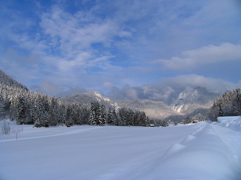 Gestern Schnee ( 10 cm ), heute Sonne,