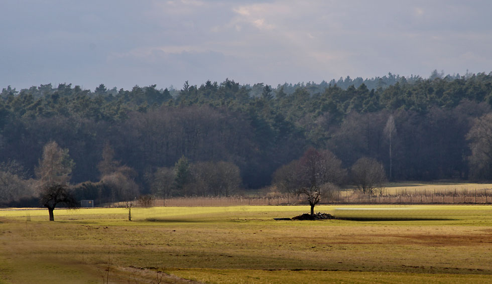 Gestern Schnee...