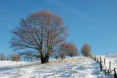 gestern Sommer heute Winter die Rhön