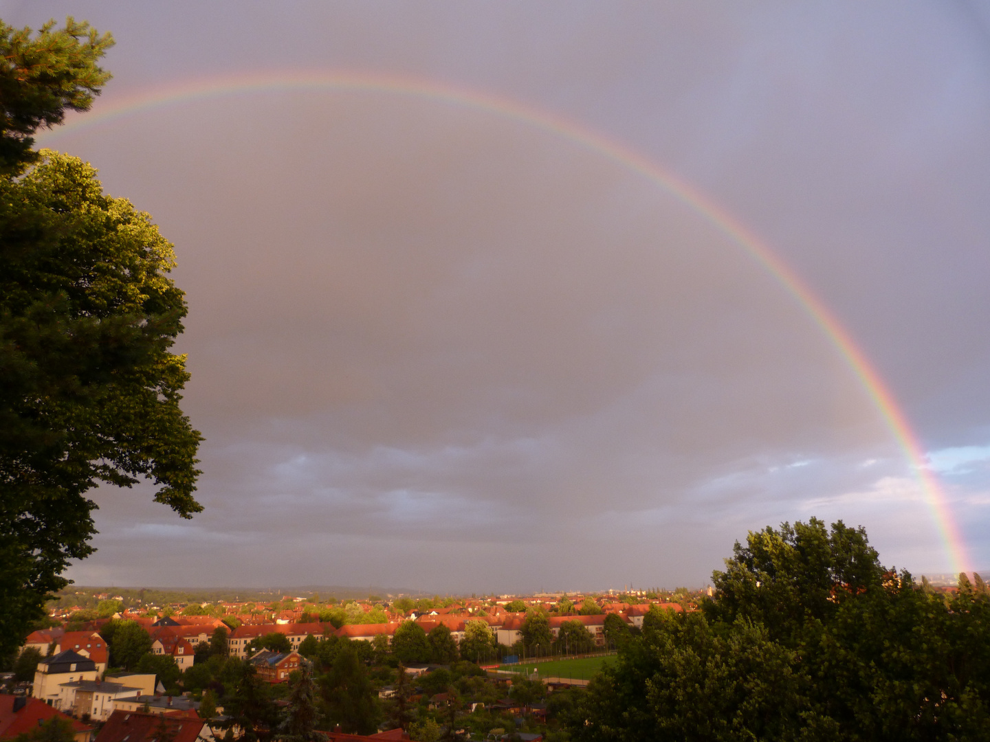 Gestern über Dresden