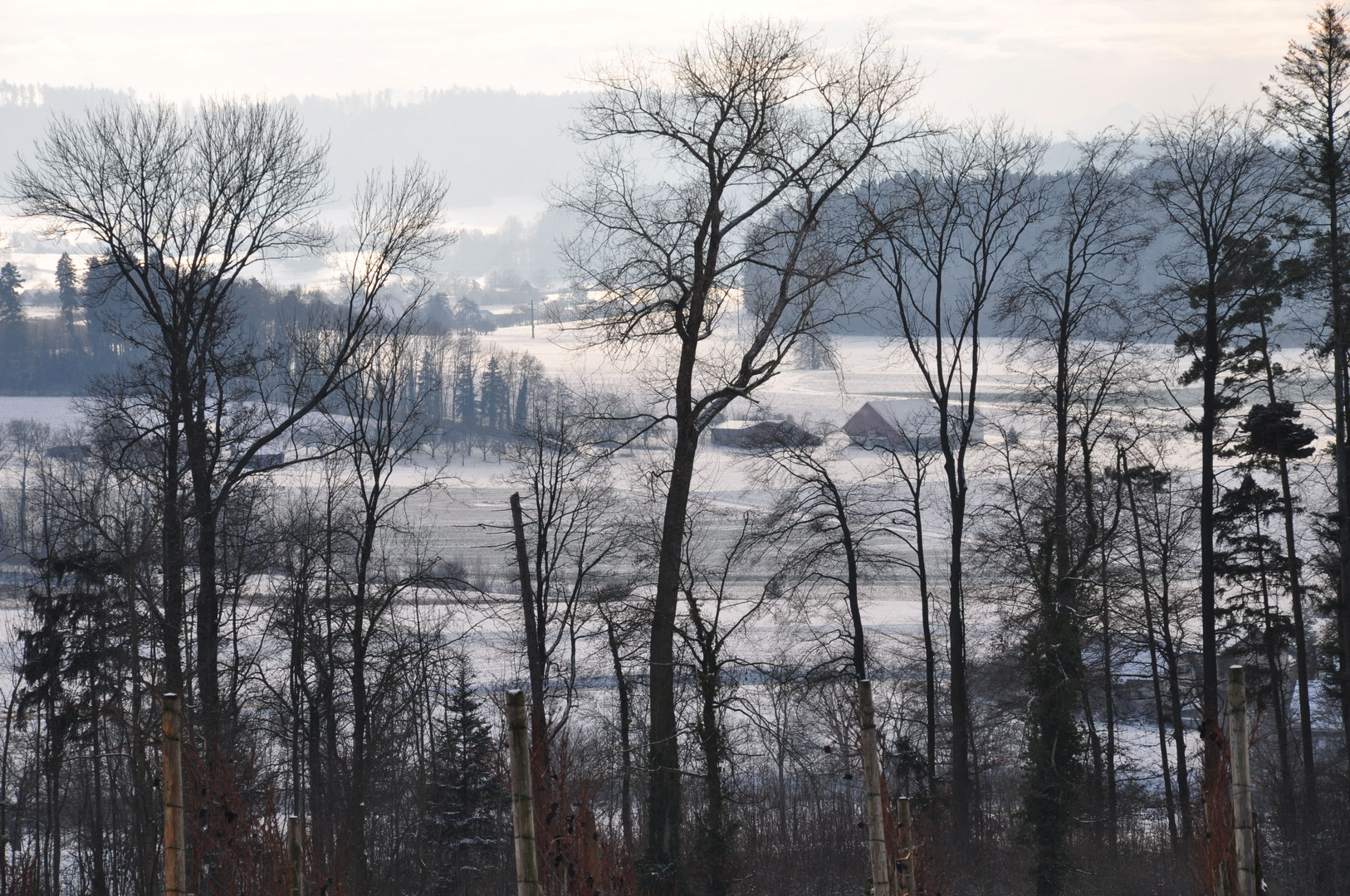 Gestern, vor dem grossen Schnee