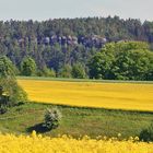 Gestern Vormittag vor dem Regen in der Sächsischen Schweiz...