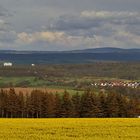 Gestern war er mal kurz da ,der Frühling, wenn auch noch nicht mit den Temperaturen...