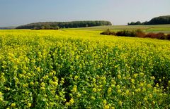 Gestern war es noch mal bunt ...