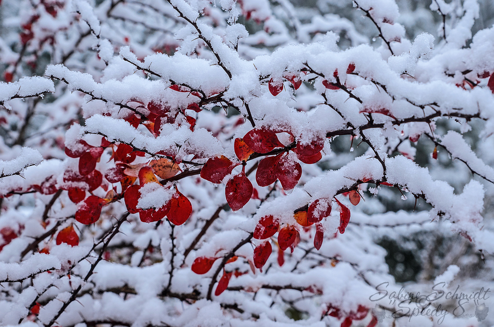 Gestern war hier noch alles rot :-) 