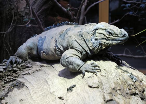 Gestern war ich feiern ..