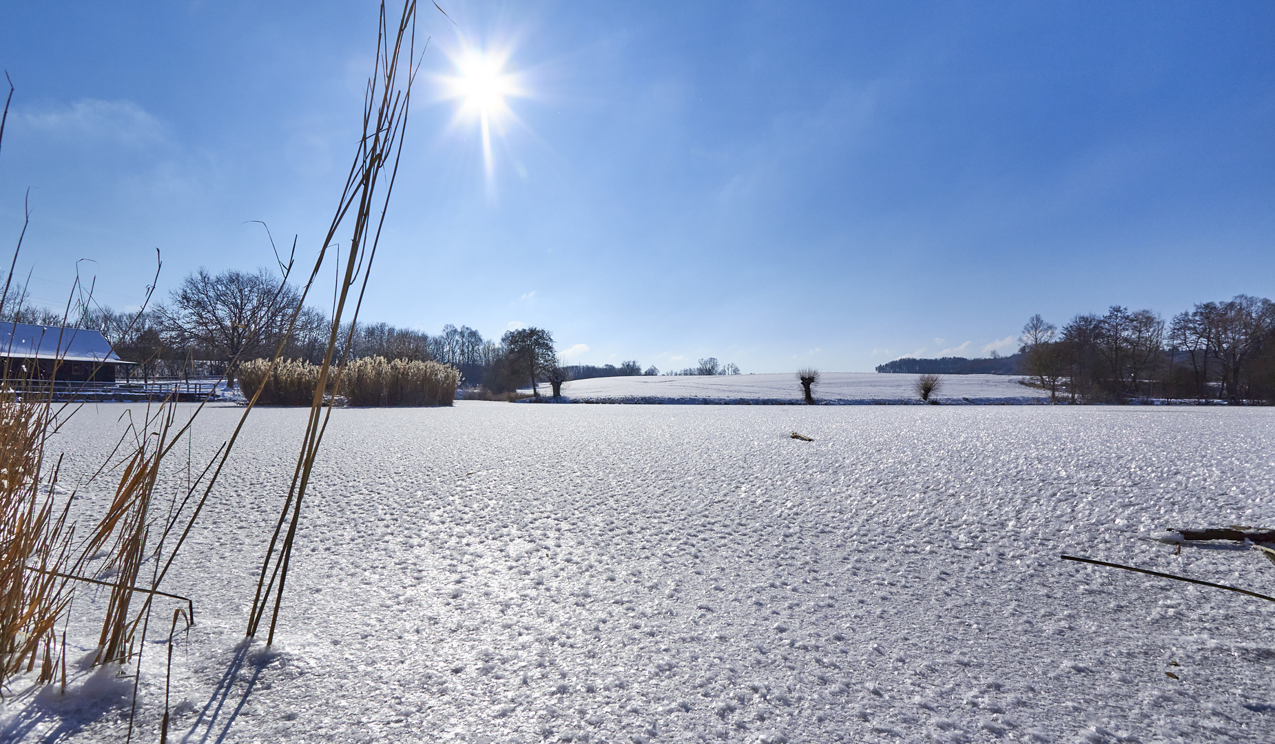 Gestern war noch Winter ....