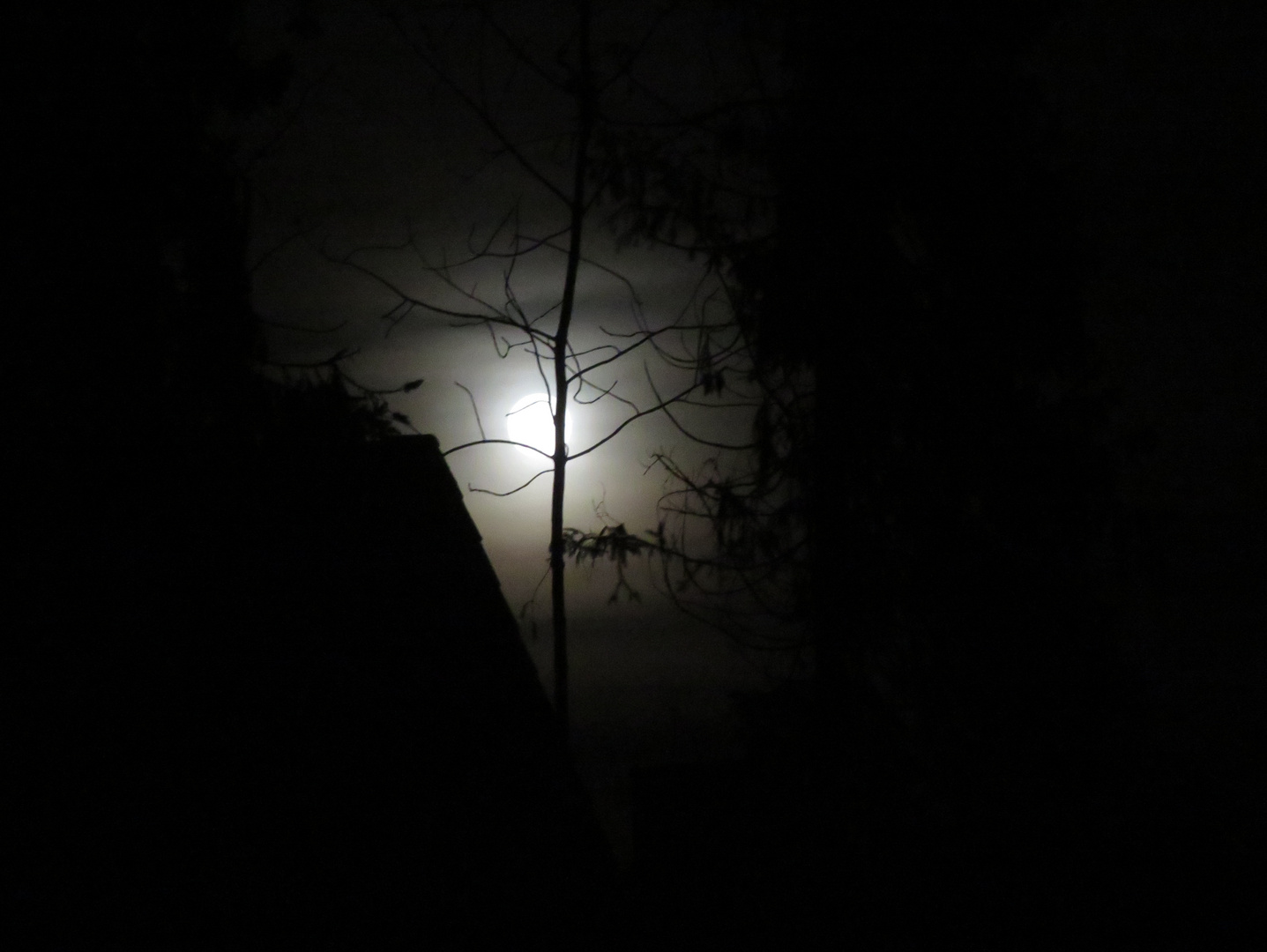 Gestern war Vollmond ... 