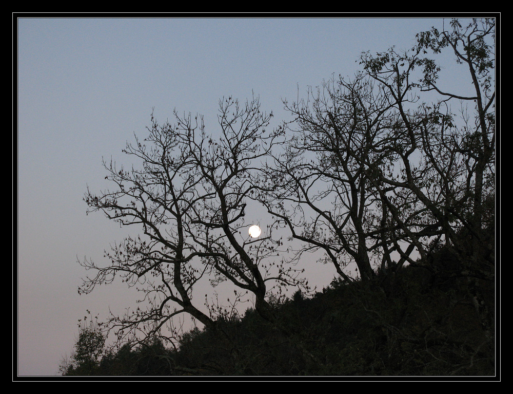 Gestern war Vollmond