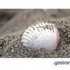 .gestrandet