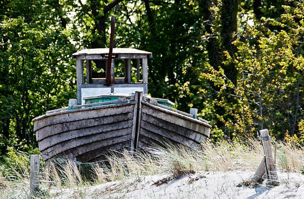 Jörg Wittenbrock - Fotos & Bilder - Fotograf aus Dinklage, Deutschland