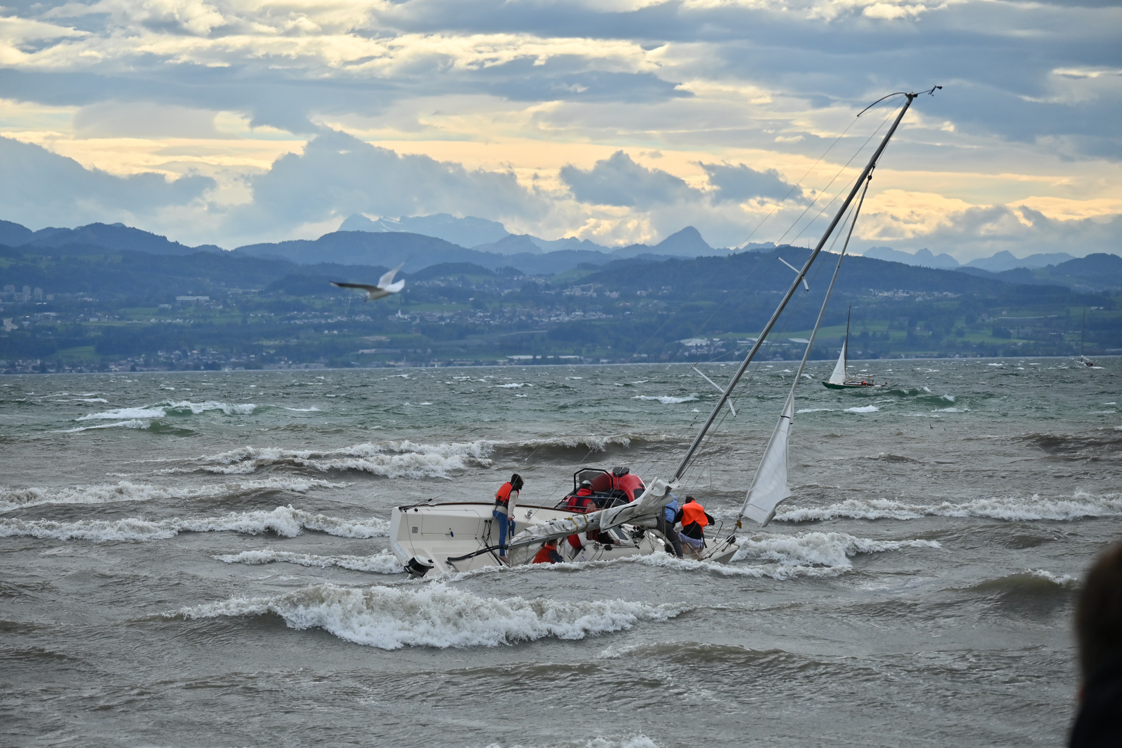 Gestrandet am Bodensee