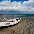 gestrandet am Schönberger Strand (Ostsee)