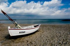 gestrandet am Schönberger Strand (Ostsee)