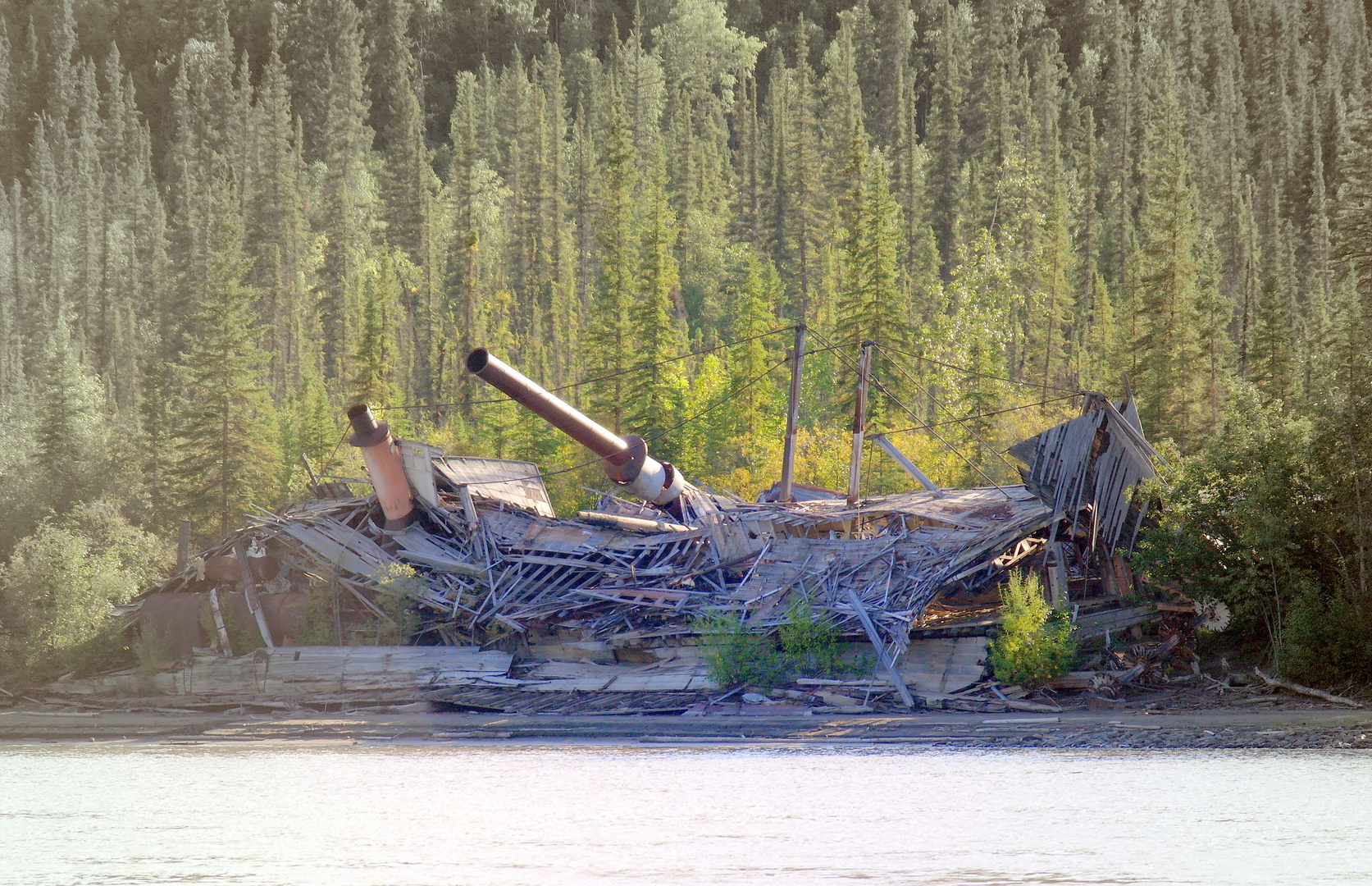 Gestrandet am Yukon