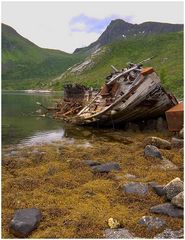 Gestrandet im Fjord