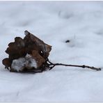 gestrandet im Schnee