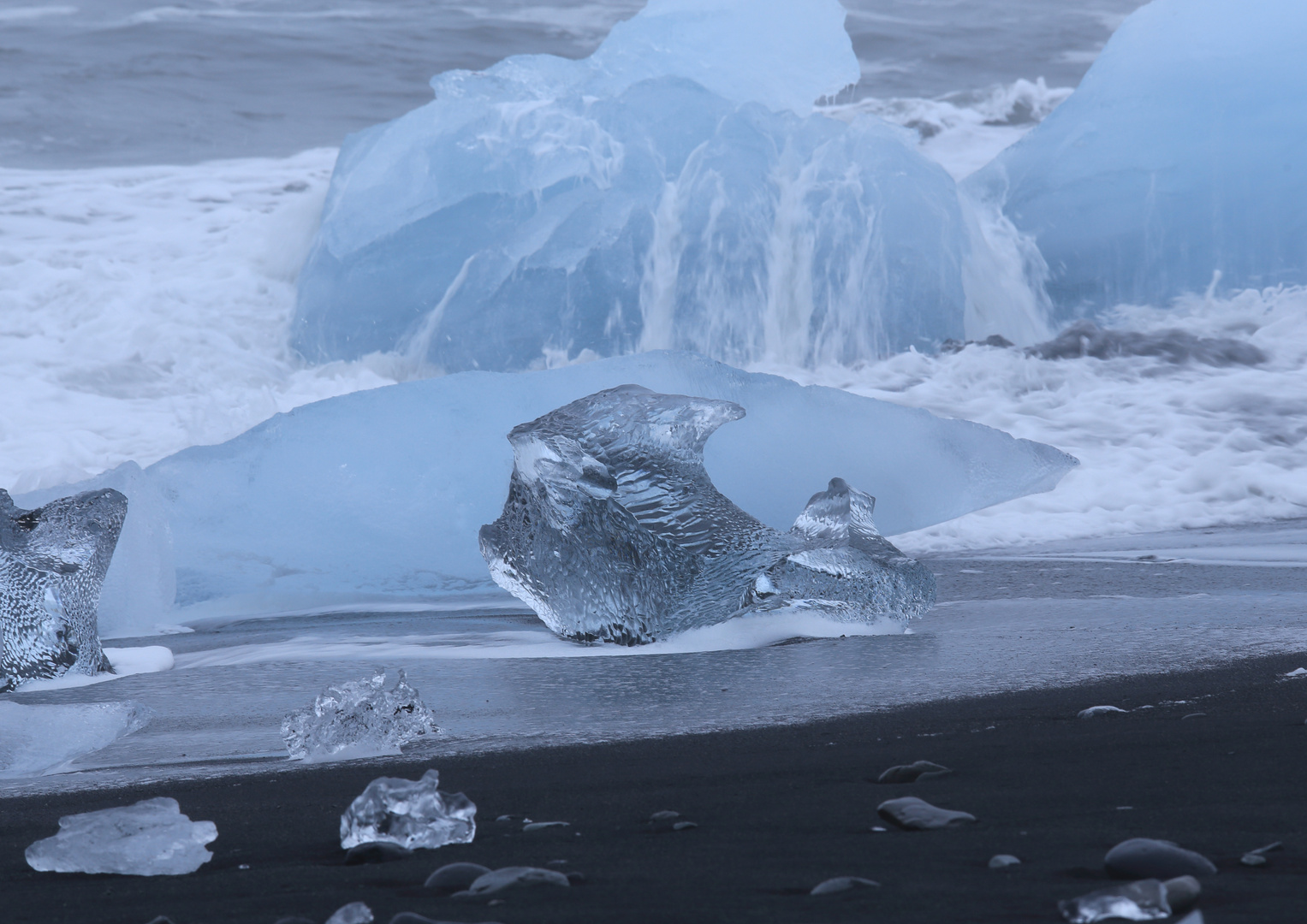 Gestrandeter Eisfisch am Jökulsárlón