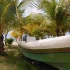 Gestranndet am Tabyana Beach