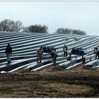 Gestreifte Landschaften...