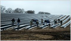 Gestreifte Landschaften...