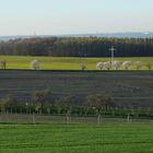 gestreifter Frühling