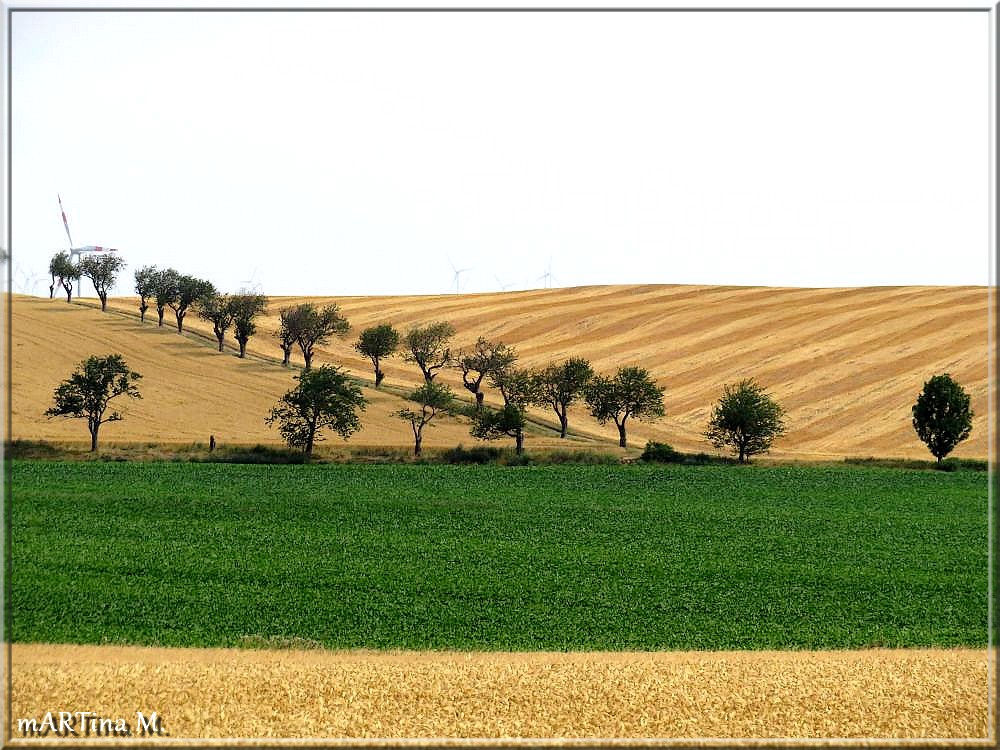 Gestreiftes Land (mit Gedicht)