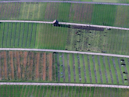 gestrichelte landwirtschaft
