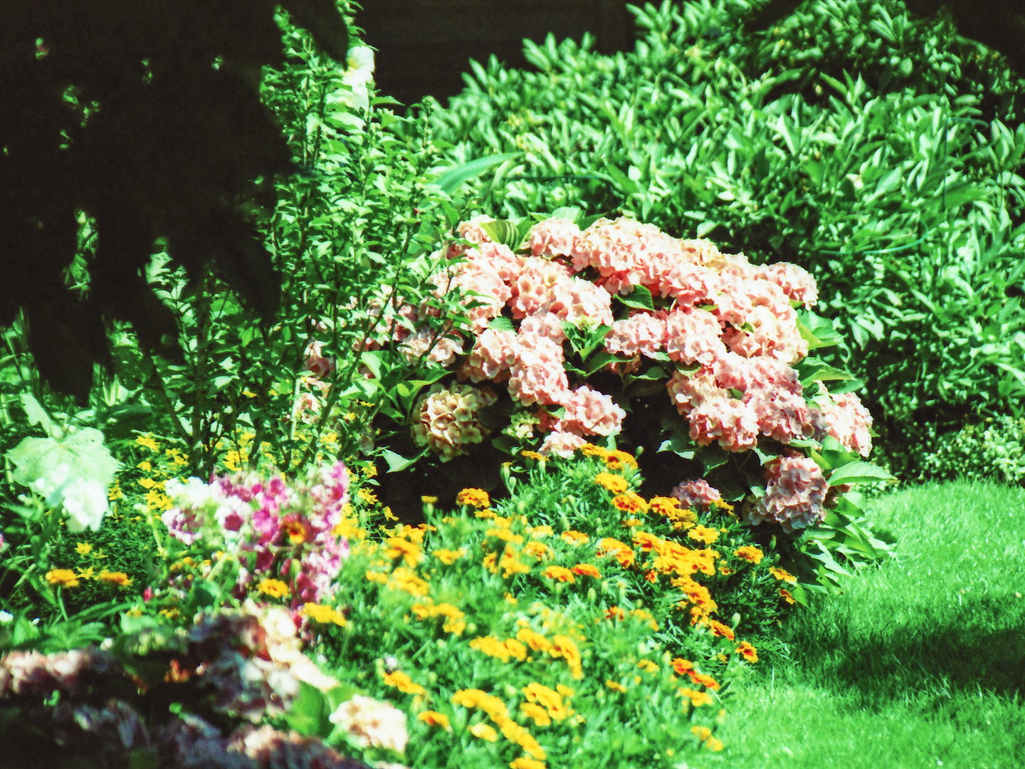 Gestryppfotografie  zum Sommerausgang I